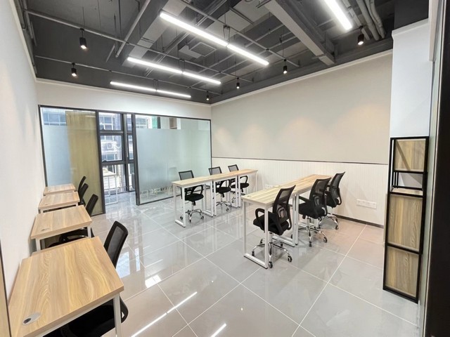 临沂防虫小麦种子招商